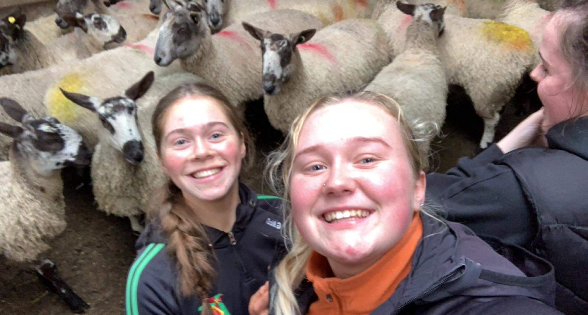 Holy Trinity College tweet media