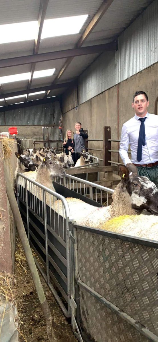 Holy Trinity College tweet media