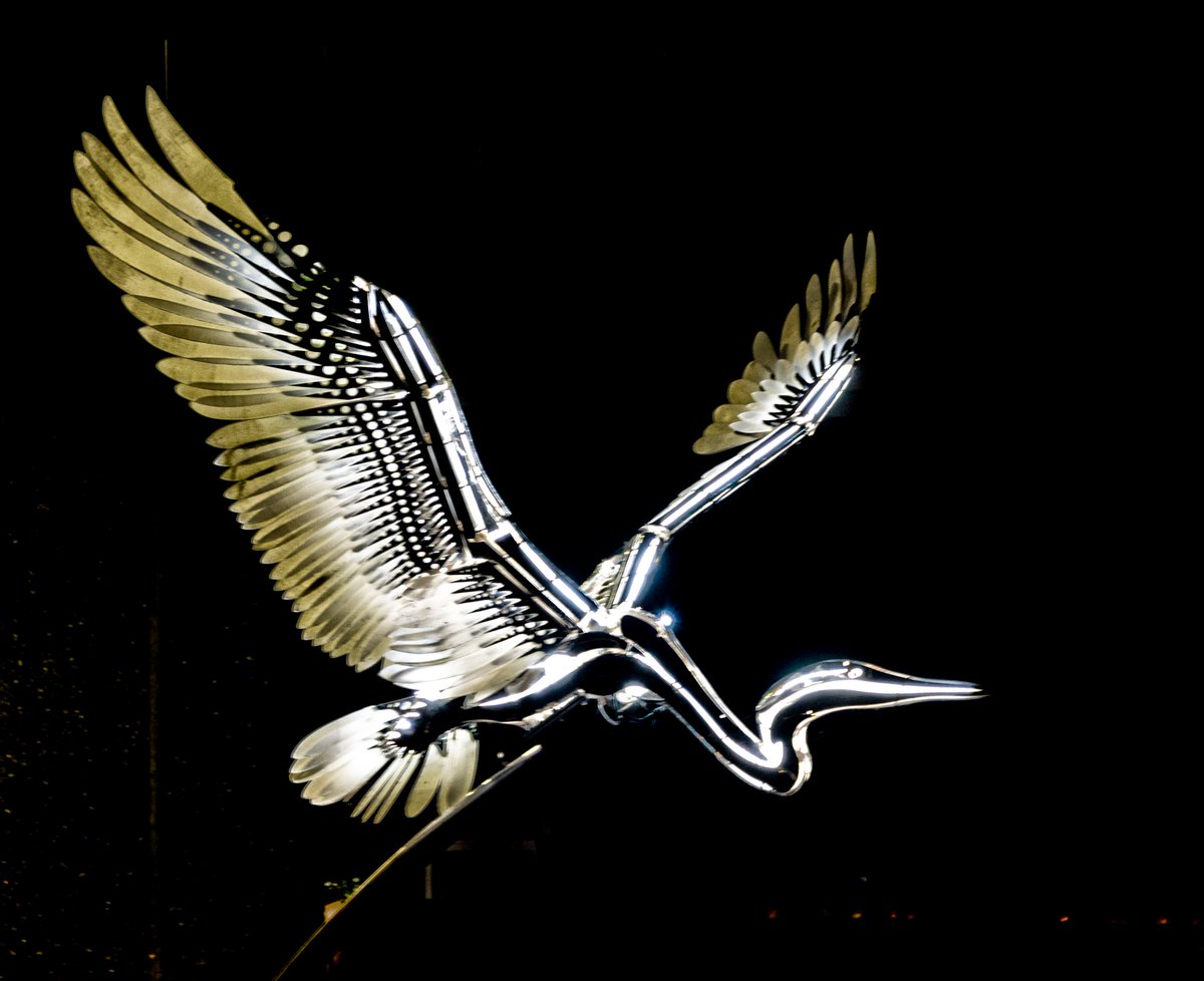 gazzab's tweet photo. A couple of pictures from last nights visit to Durham Lumiere https://t.co/ViPLUwTGqP