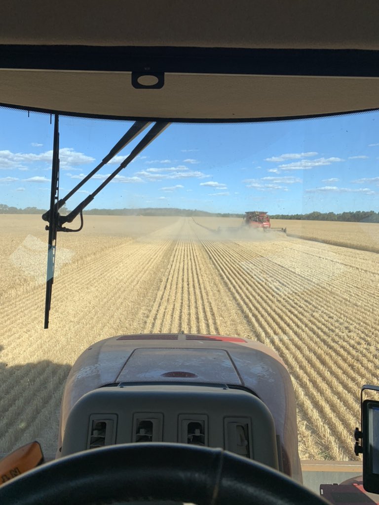 lachdbrown's tweet photo. Better than shovelling oats I suppose https://t.co/euiwXClT8H