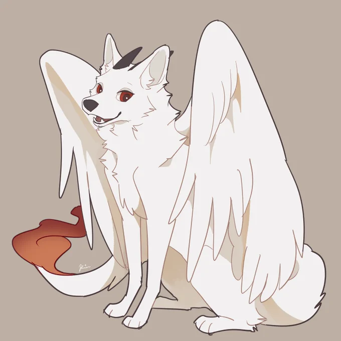 momiji 