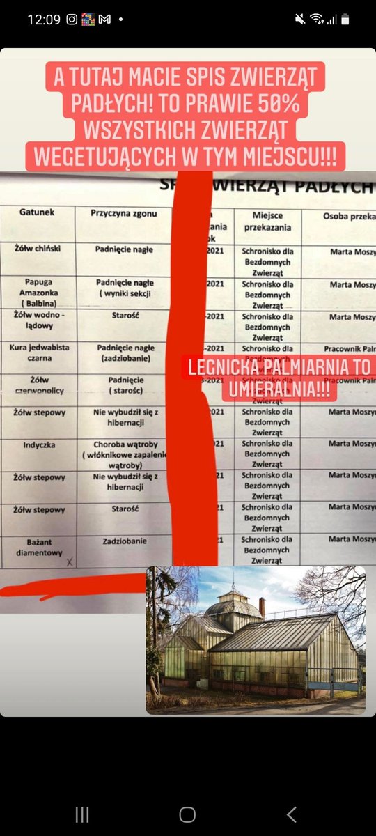 YG_NBA13's tweet image. Myślę że to trzeba nagłośnić to co się dzieje w palmiarni w Legnicy. Żółwie są trzymane w wannach i w pudełkach po bananach, umarło tam już 50% zwierząt no i oczywiście przyjechała nasza cudowna policja i nie muszę chyba pisać po czyjej stronie stała, zobaczcie story u dioz