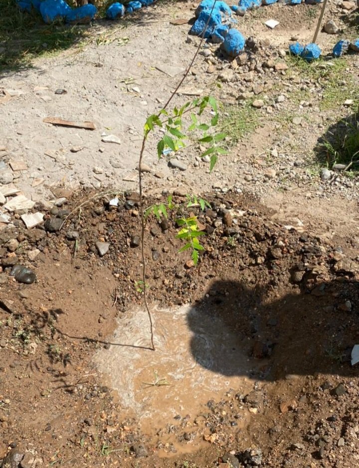 SOSenvironnem's tweet photo. https://t.co/ujvvzFzB79