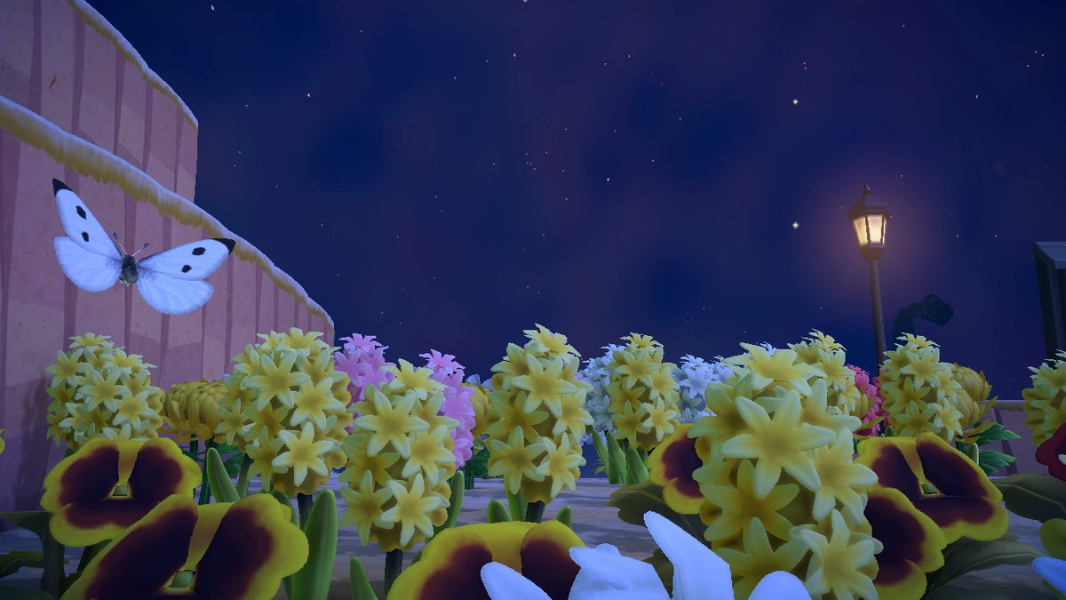 wing98_w's tweet photo. #AnimalCrossing #ACNH #NintendoSwitch https://t.co/aKSOuc3HbO