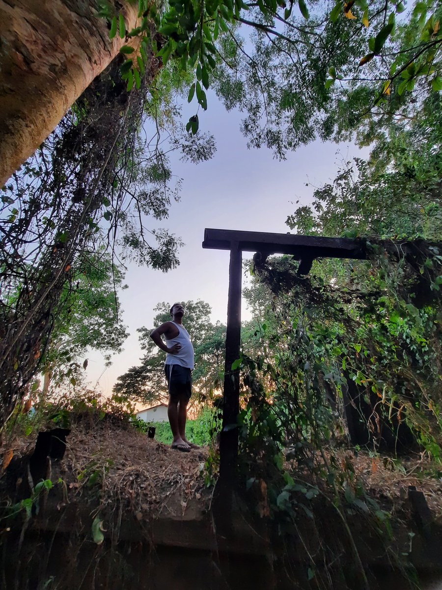 imnihal009's tweet photo. Today me and dad went out to a jungle,  these are some clicks 📷 https://t.co/urjTklJJTi