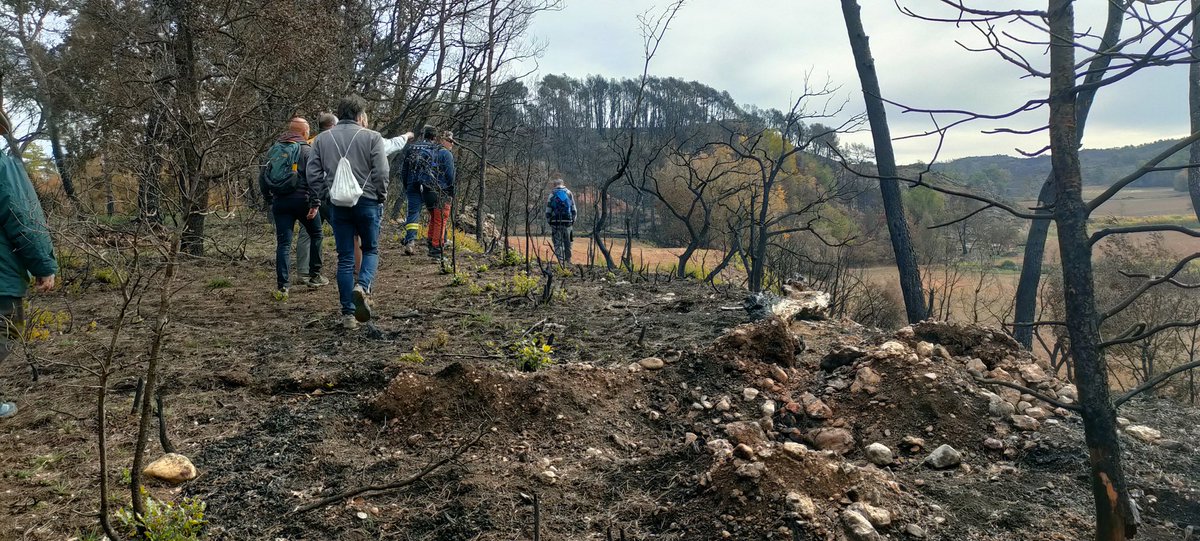Resseguint alguns dels camins que va seguir el foc durant l'incendi  #IFSantaColoma amb explicacions de <a href="/bomberscat/">Bombers</a> <a href="/adfanoia/">Federació ADF Anoia</a> i de pagesos locals. #JournalClub
