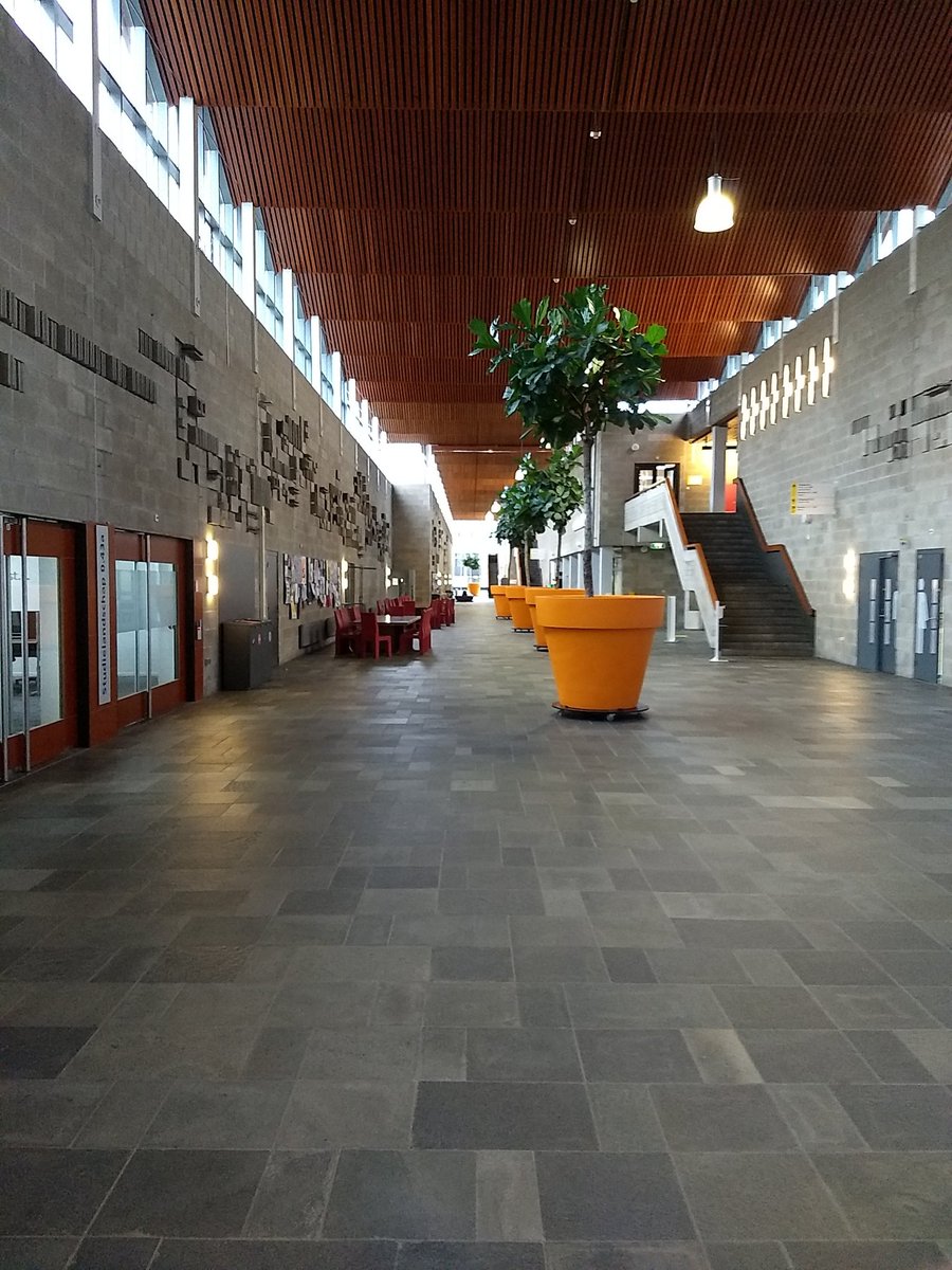 Jeroen Janssen tweet media