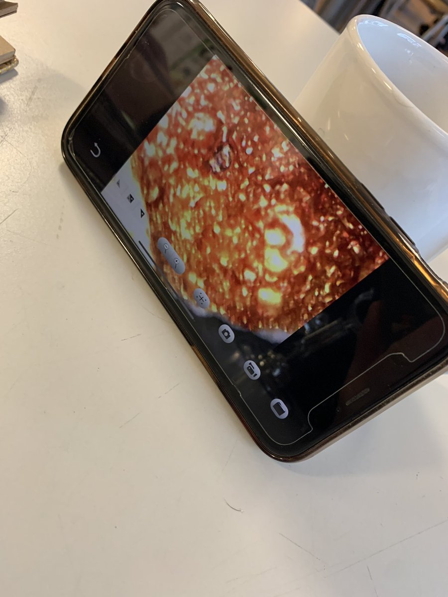 rosie_mizon's tweet photo. Microscope mad! 🔬 Amazing fine from @Georgia_w with a digital microscope connecting to iPhone.
Year 13 Textiles, handmade Tyvek leaves under scrutiny this week! 🍁 @SADARTdept #textilesdesign #aleveltextiles #textiles #alevel #educhat #dtchat #teacherchat https://t.co/osnS1vuicG
