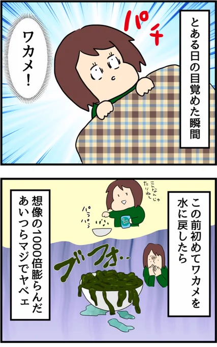 【深夜にワカメについて考えた話】 