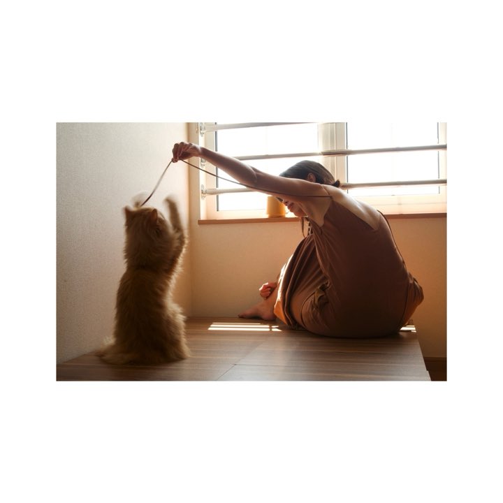 yumionjack's tweet photo. When I play with my cat, who knows whether she is not amusing herself with me more than I with her.
#MicheldeMontaigne #catqotes https://t.co/17IfcBabcA