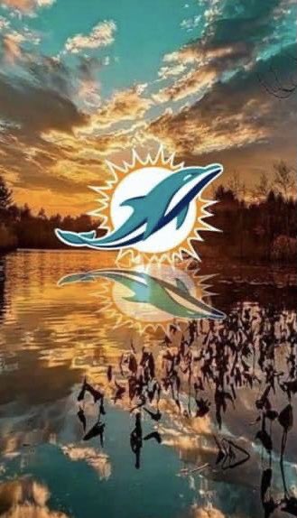 HD wallpaper miami dolphins images and pictures headwear helmet focus  on foreground  Wallpaper Flare
