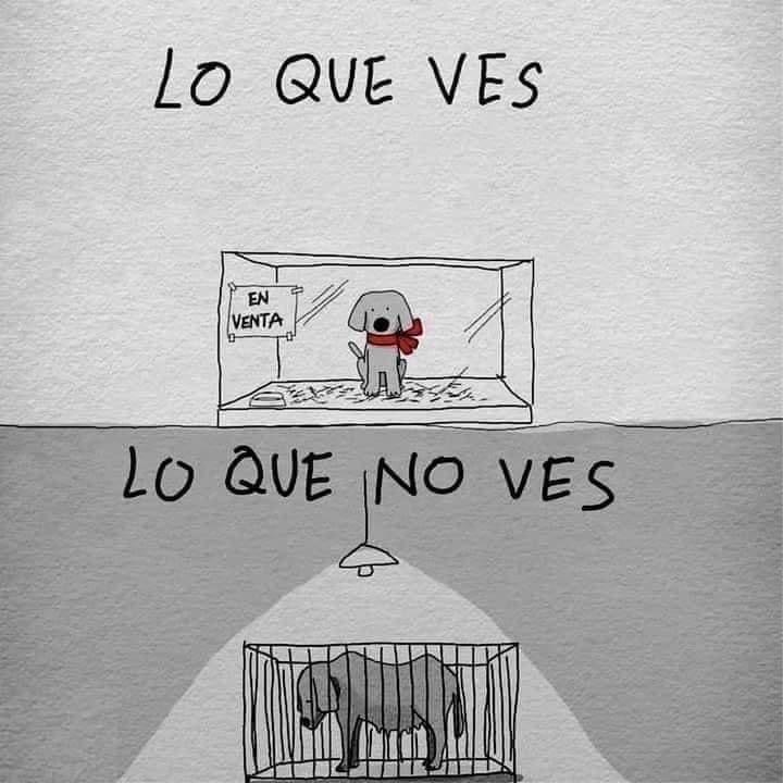 esdecirdiario's tweet photo. Para reflexionar. https://t.co/BHcAJ8kTip