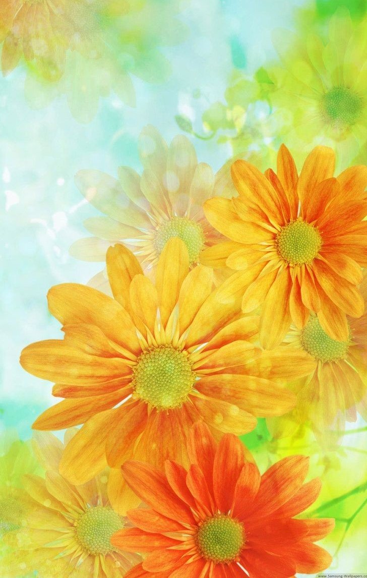 dinnydot's tweet image. Love and Blessings to you 💛୨♡୧