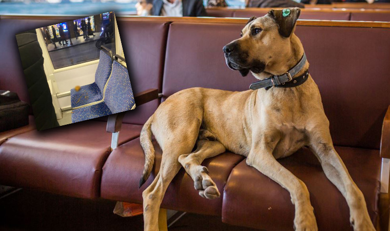 Cumhuriyet tweet media