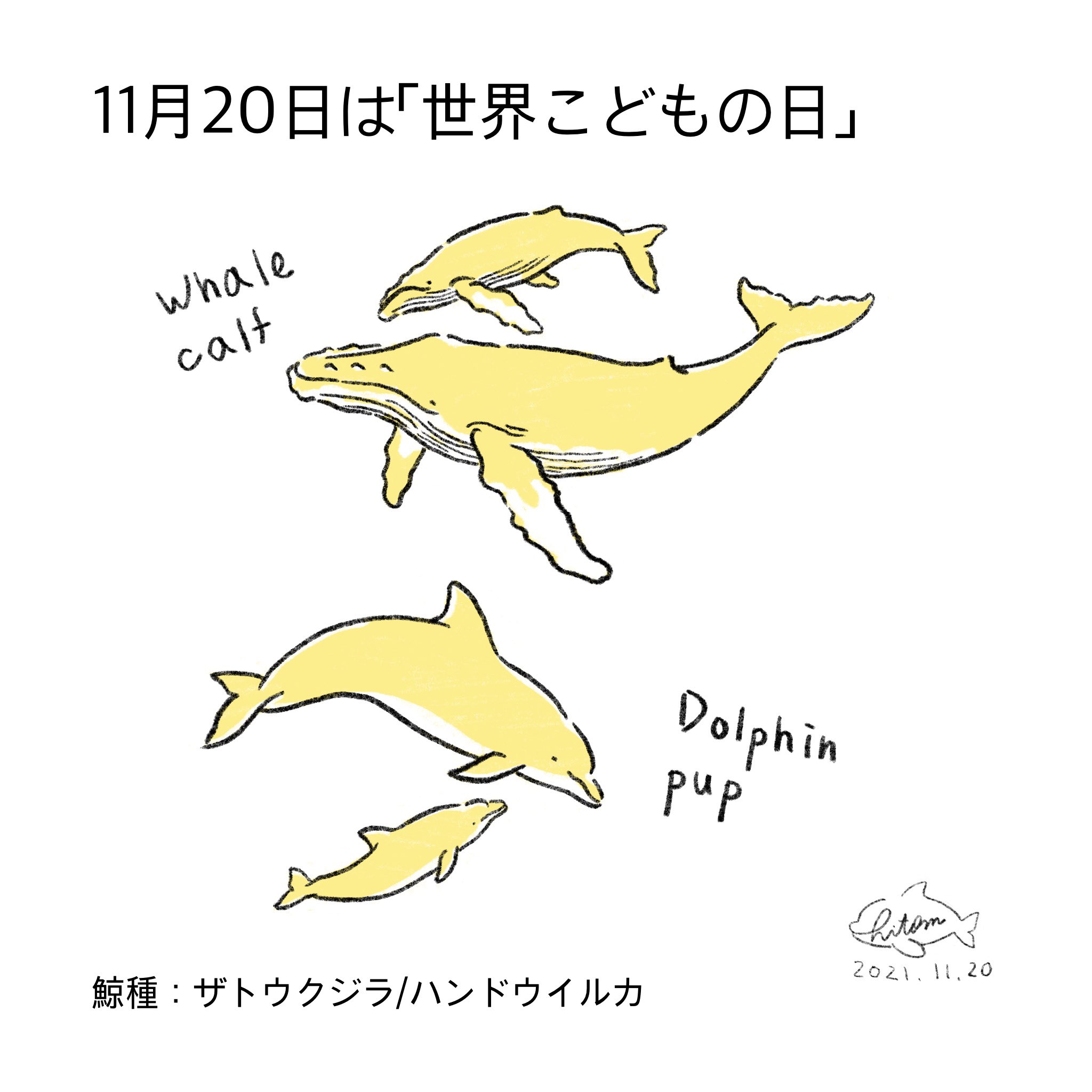 あらたひとむ 11月日は世界こどもの日 仔クジラを英語でwhale Calf ホエールカーフ 仔イルカは英語でdolphin Pup ドルフィンパップ と言います Calfやpupはクジラやイルカの幼獣以外にも使われる単語ですが 響きがとても可愛いですね イラスト