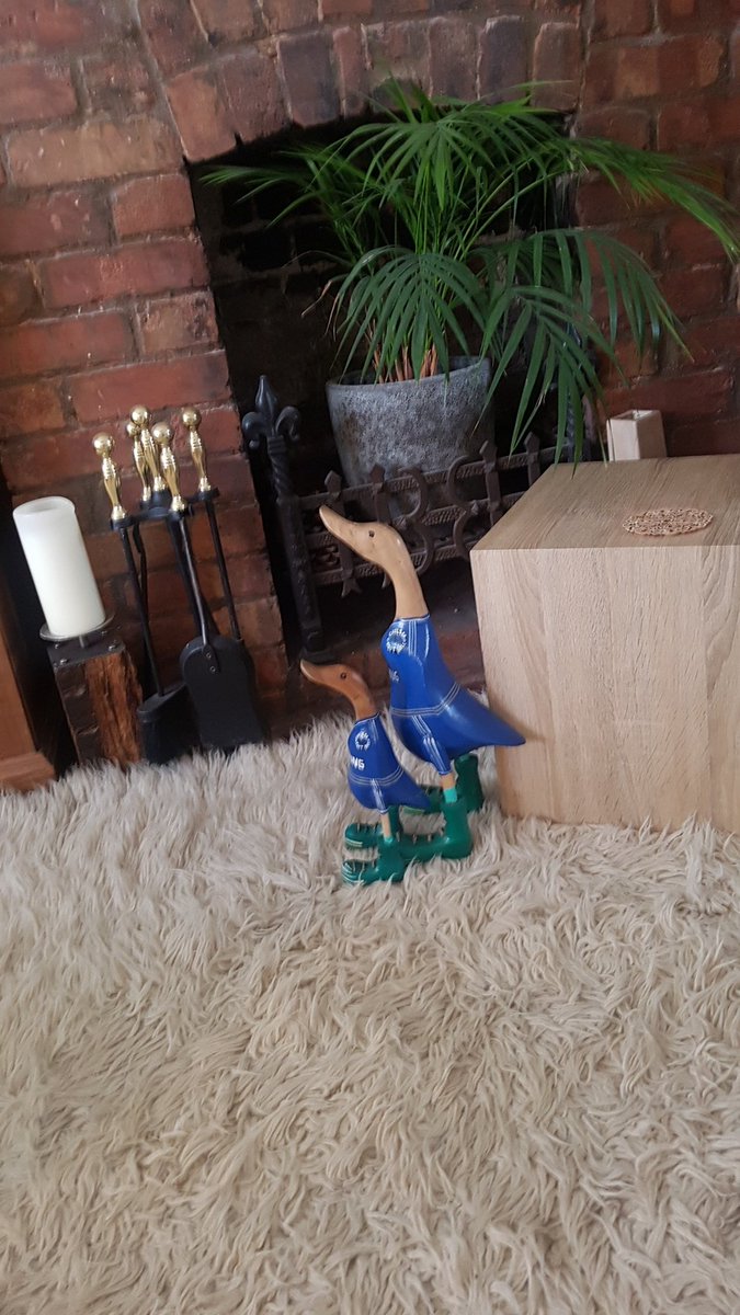 mikesebbage's tweet photo. Didi and Dennis watching today's big game! COYB! #LeiChe #ChelseaFC https://t.co/bJuDI37hQx