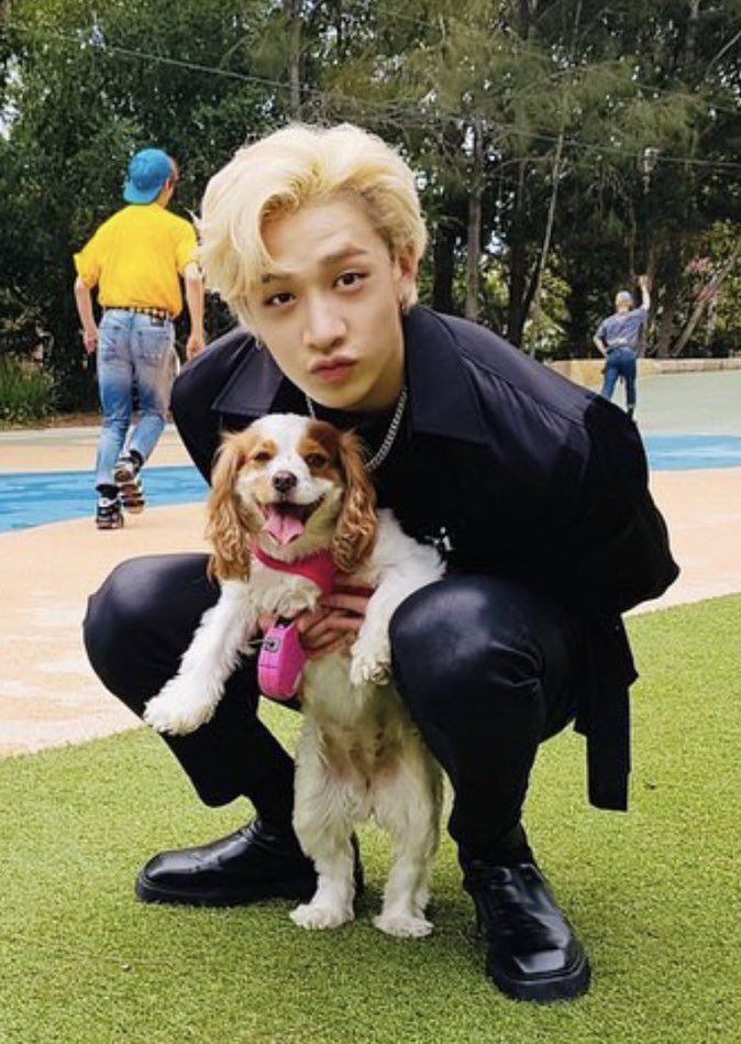 бан собака. бан собака. собачка удаленной страницы. бан собака. берри бан чана.