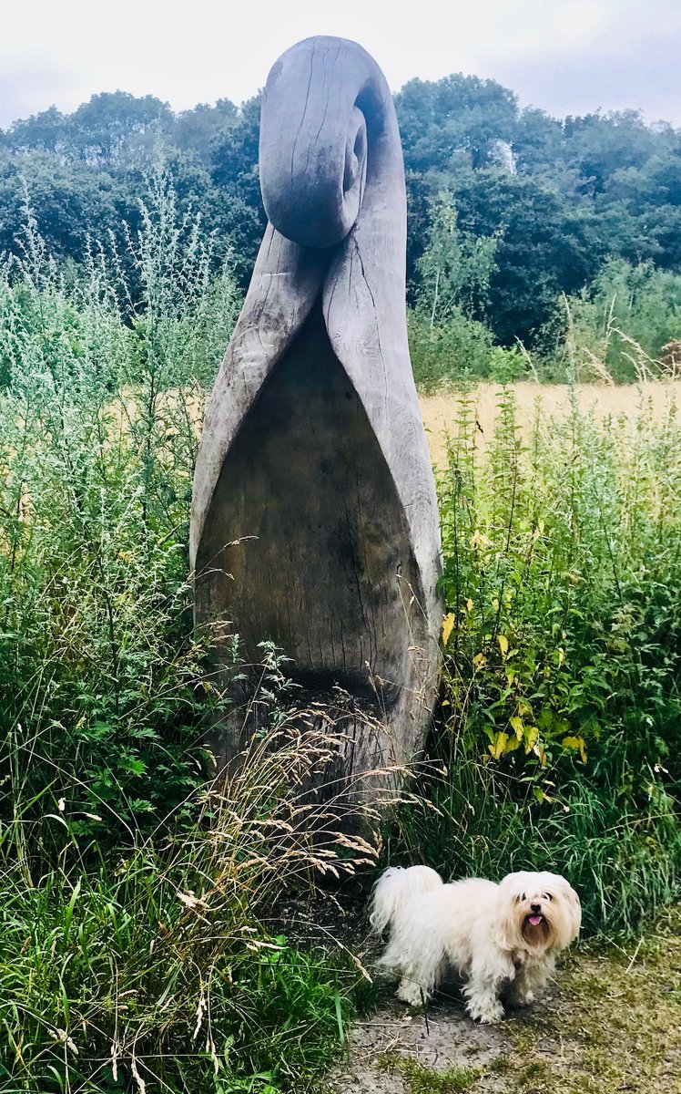 JustMeandLilley's tweet photo. The #SpaTrail by the #RiverBain #HorncastleLincs. Lilley is reading all the info about the history of this trail. Posing in front of one of the fabulous wood carvings, part of the many pieces of local art work. A meander into #nature's #mindful medicine @HHHSoc@LincsWoldsAONB https://t.co/1Fk2UKxeFz