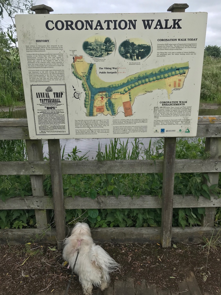 JustMeandLilley's tweet photo. The #SpaTrail by the #RiverBain #HorncastleLincs. Lilley is reading all the info about the history of this trail. Posing in front of one of the fabulous wood carvings, part of the many pieces of local art work. A meander into #nature's #mindful medicine @HHHSoc@LincsWoldsAONB https://t.co/1Fk2UKxeFz