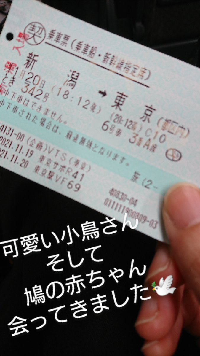 とっとこさま＆じーじ＆しろちゃん＆つぶ🐥 tweet media