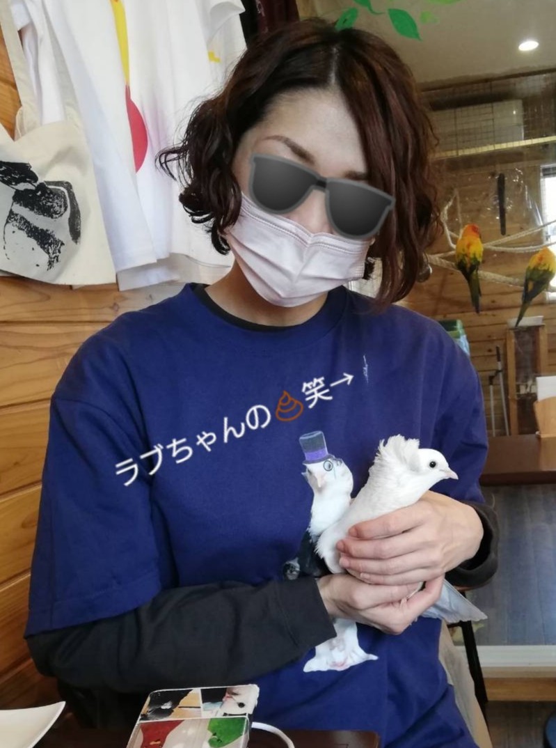 とっとこさま＆じーじ＆しろちゃん＆つぶ🐥 tweet media