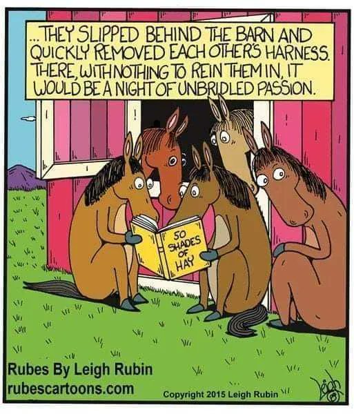 ProWritingAid's tweet photo. Wishing you a weekend of unbridled passion. 🤣 🐴

#writer #amwriting #WritingCommunity https://t.co/OfylOGwt3g