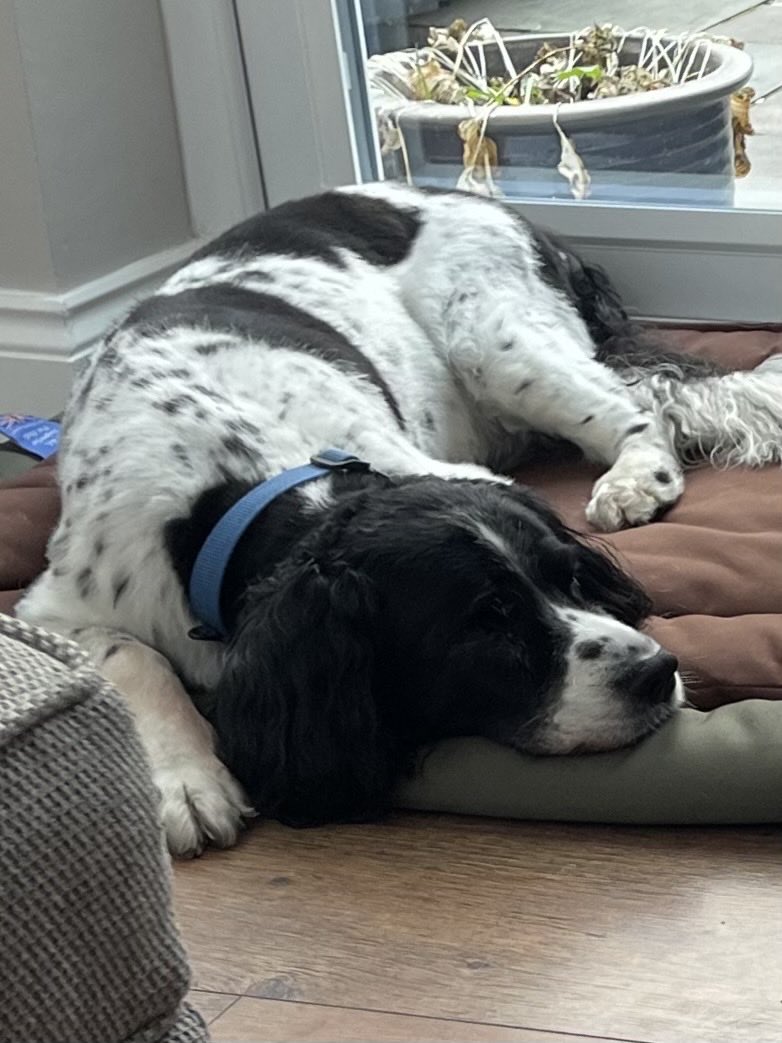 A peaceful weekend to all xx