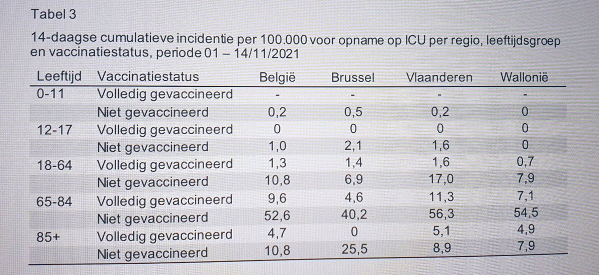 lorinparys tweet media