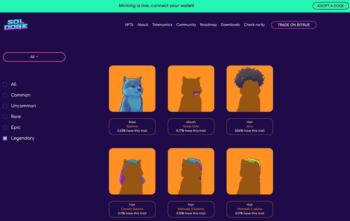 SolanaDoge's tweet photo. Check out this selection of legendary traits, including @SBF_FTX hair and Solana dreads! A lot of rare #SolDogeStrays are still available on our site: https://t.co/IIhCxkIEgt - good luck! https://t.co/hTXU1wIBIo