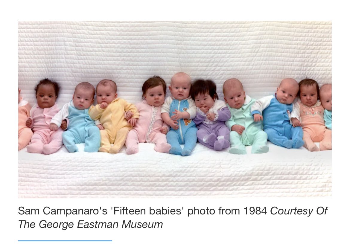 Dr. Elizabeth Murray tweet media