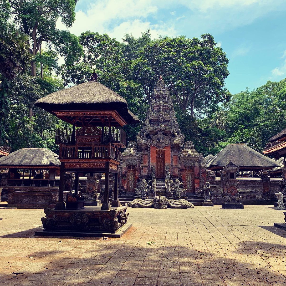 TheBaldWanderer's tweet photo. If you're ever in Bali make sure to visit the Ubud Monkey Forest. What an experience! These are my 2019 visit.

#TheBaldWanderer #MyWanderings #UbudMonkeyForest https://t.co/JQmvnwxbGR