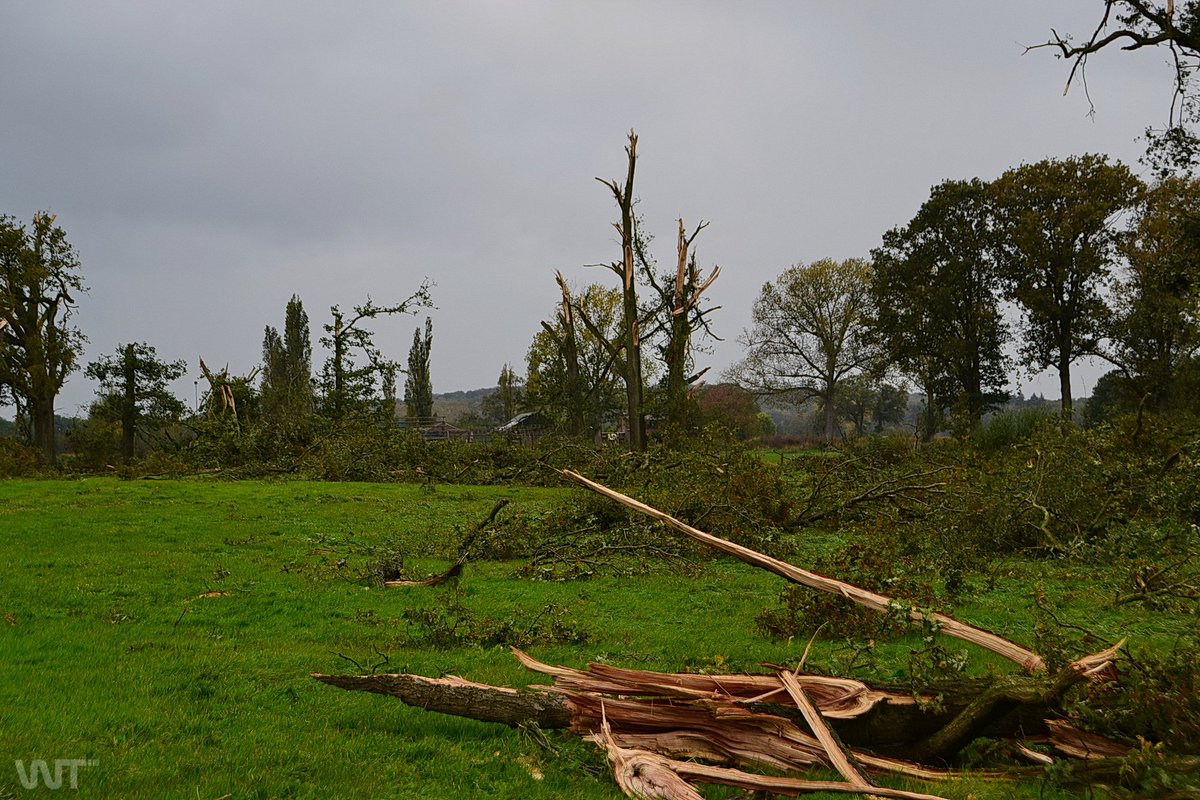 WTsurvey's tweet photo. 20.10.2021 F2 Tornado Nederland | Gelderland | 's-Heerenberg : Bericht zum Tornado: https://t.co/aNUjWIPcfc Online maphub Link >>> https://t.co/qSmsDmySO4 @weermanreinier
@StormchaserNL
@PascalBosveld
@LAMsvenko
@Matu86RC
@MeteoWard
@OmroepGLD
@112arnhemO
@GLGld #tornade #wtinfo https://t.co/Wc0rWkbLXz