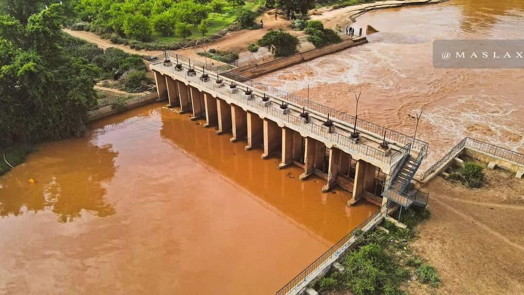 _kiimo25's tweet photo. Balcad somalia 🇸🇴💚.
تتميز مدينة بلعد بالزراعة والحقول الخضراء الرائعة والطقس الجميل 🧡. https://t.co/K4PuT5EESp