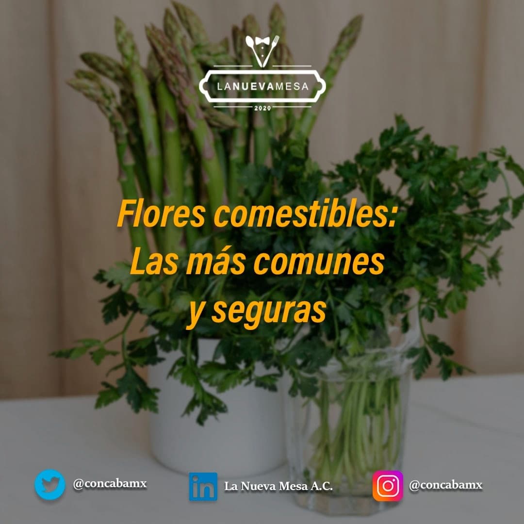 concabamx's tweet photo. Te dejamos algunas otras flores comunes comestibles. 

¡Contáctanos en estos teléfonos!
Informes. 👇
👉5616322755
👉5539306679
#concabamx #sommelierprofesional #aprendiendodevinos #winelover 
#conocimientodaseguridad
#LaNuevaMesa #asesorgastronomico #gastronomia #restaurante https://t.co/hNnGF8kxn5