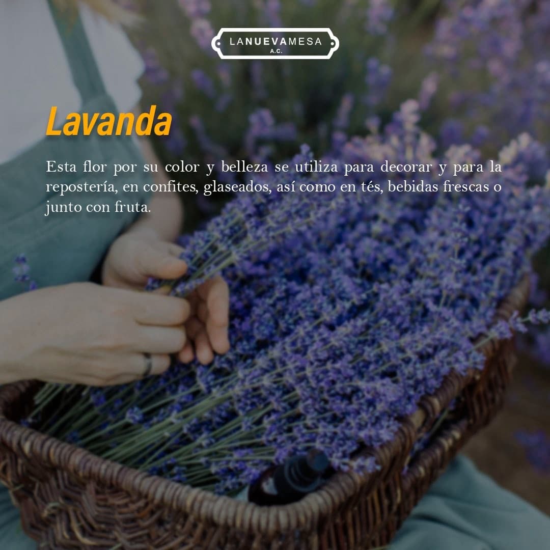 concabamx's tweet photo. Te dejamos algunas otras flores comunes comestibles. 

¡Contáctanos en estos teléfonos!
Informes. 👇
👉5616322755
👉5539306679
#concabamx #sommelierprofesional #aprendiendodevinos #winelover 
#conocimientodaseguridad
#LaNuevaMesa #asesorgastronomico #gastronomia #restaurante https://t.co/hNnGF8kxn5