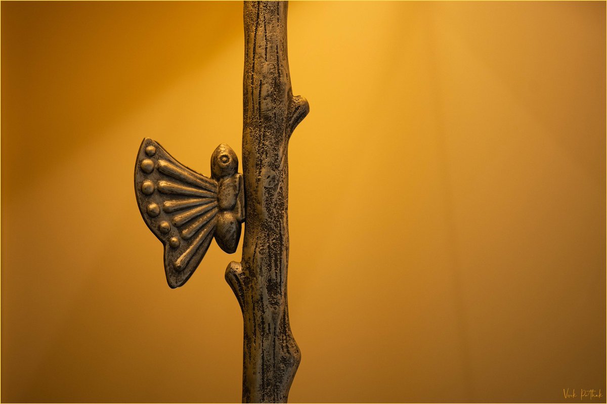 pafcoms's tweet photo. #Light is an integral part of our #Life
#IndoorShoot #TableTop #TableTopPhotography
LOCATION: #ITCGardenia
#NikonPhotography #VivekPathak
#NikonD750 Nikkor 70-200 1:2.8mmE FL ED
#ILoveNikon
#nikoninstabadge #nikonphoto #nikonlife #nikon #nikonphotographers https://t.co/rQYmAIzehW