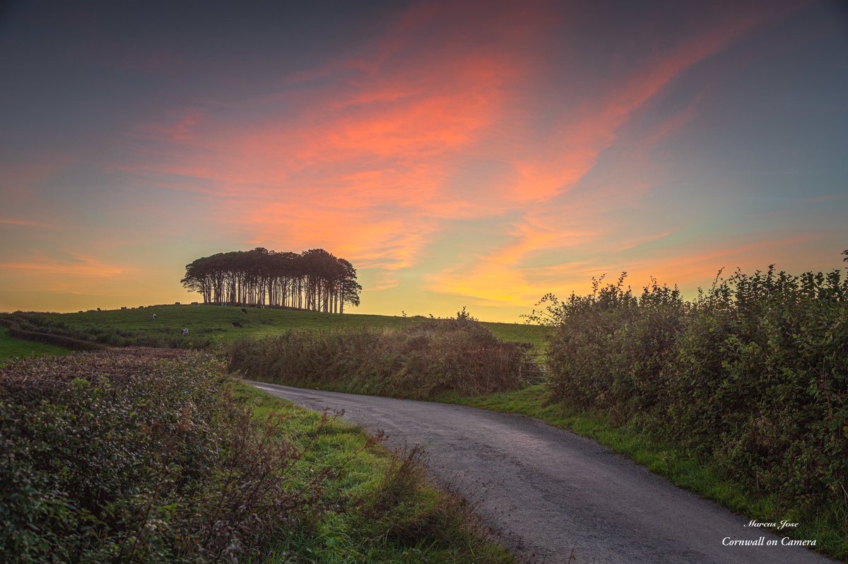 Sunset sky over the nearly home trees at Cookworthy Knapp, synonymous with Cornwall but actually a stones throw across the border in Devon. 
#trees #sunset #woodland #nearlyhometrees #cookworthyknapp #devon #cornishborder #nearlyhome #photooftheday #autumn #Photography #art