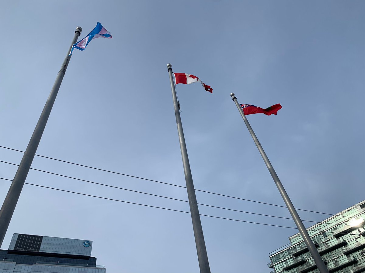 Toronto Police tweet media