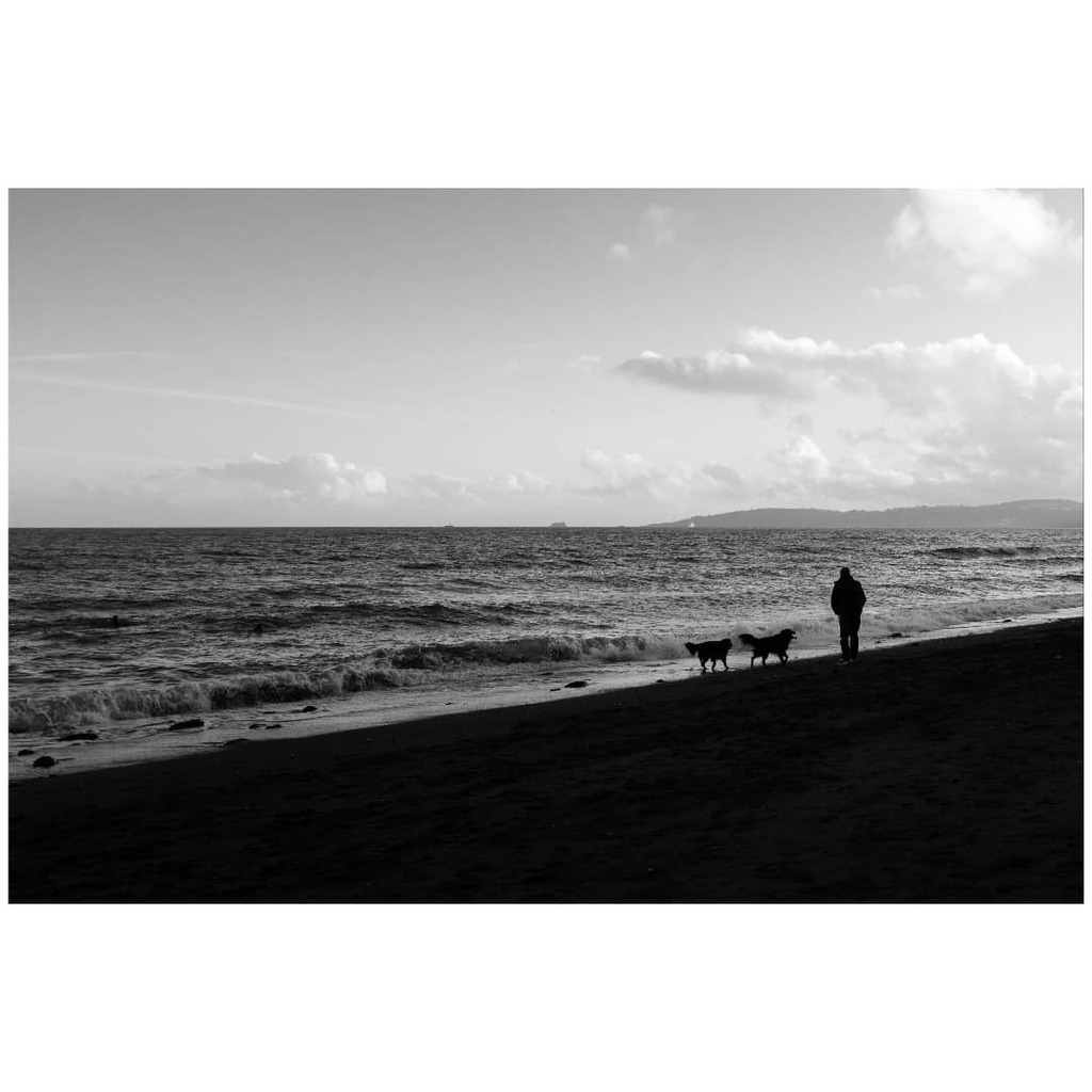 daniel_ellis_wp's tweet photo. Loyal followers chasing their human up the beach on a cold Autumn day.
#dogsonthebeach #dogsandtheirhumans #beachwalks #bnw_beach #bnw_street #choppyseas #silhouettes #deepshadows #embraceyourshadows #seasideliving #lifebythesea #britishseaside #devonco… https://t.co/rvR6jeMWR7 https://t.co/ql9kLggHxG