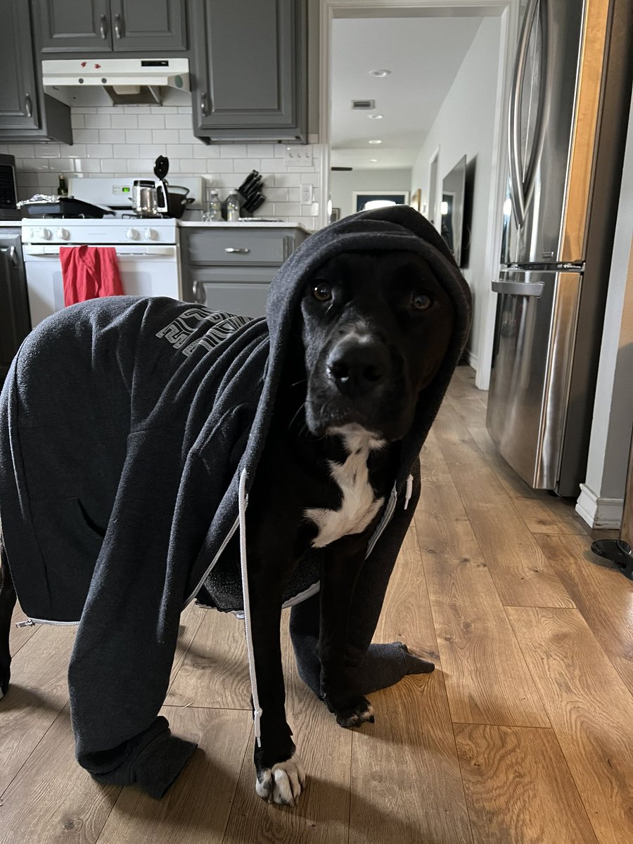 Garrett Harvey tweet media