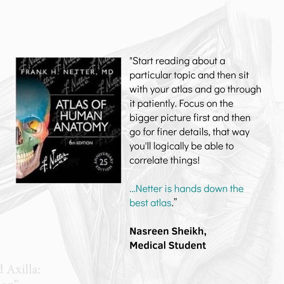 FNetterMD's tweet image. 