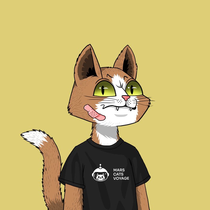 FCauseur1's tweet photo. Got myself a @marscatsvoyage . Thanks for the warm welcome cats. Show me your. @take_a_bow_dude did these 2 for me #MarsCatsVoyage https://t.co/IQA3Ol6LUD