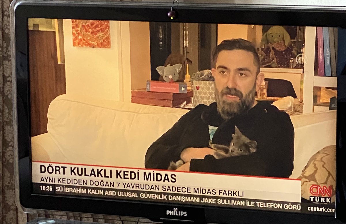 MarvelMacka's tweet photo. Bozulan genetiği ile bedensel anomali yaşayan bir hayvanı ve onu (yüksek ihtimalle satın alan ve ürettiren) kişilerin sanki bir mucize başarmış, hastalığa çözüm bulunmuş gibi haber yapılması cins üretimine verdiğimiz savaştaki acı bir yaradır+ https://t.co/W1dRXd8fOJ