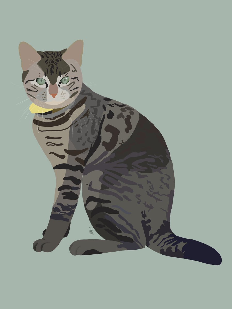 ✨RT SVP✨
hi guys! je relance mes potits dessins de vos boules de poils d’amour :) 
Je prends les commandes pour 8€ le dessin donc n’hésites pas à me dm !! bisous <3