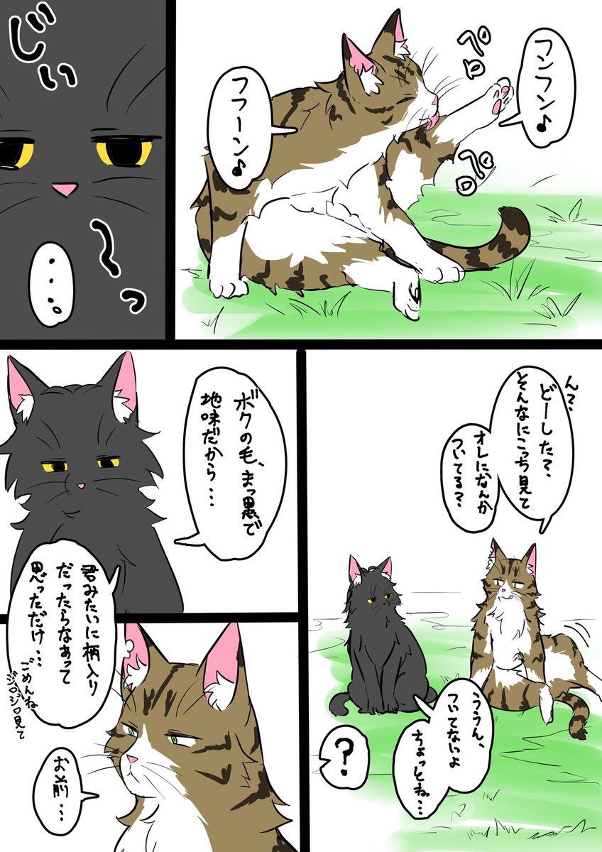 黒い猫とキジ猫と毛の色について 