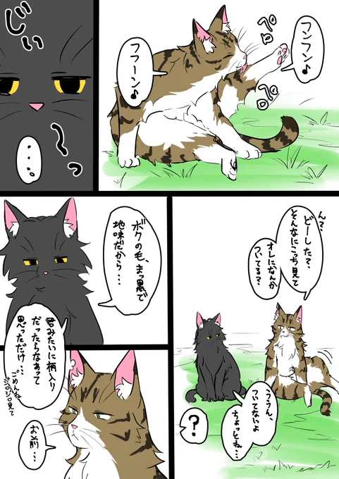 黒い猫とキジ猫と毛の色について 