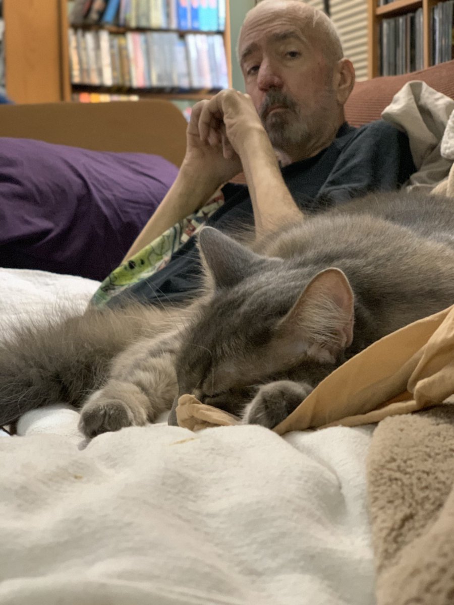 PhoebeBatCat's tweet photo. @BrianKeene @Meteornotes We are making the best of the time we have ♥️ https://t.co/QUYTorzx08