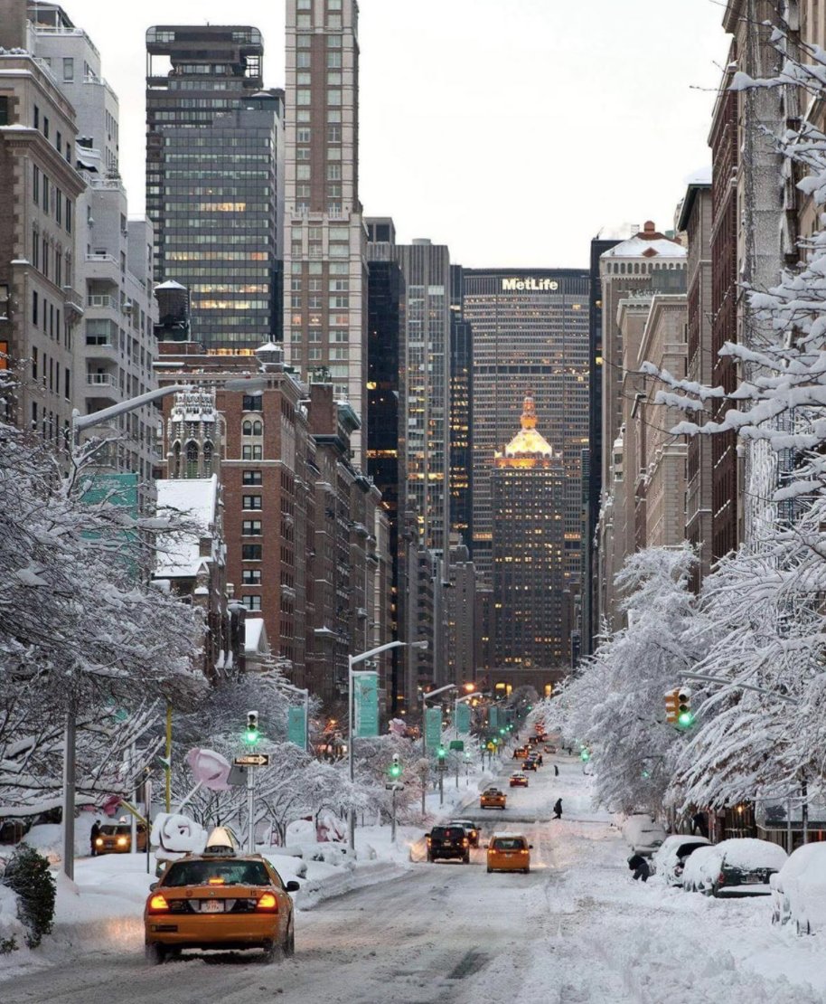 OfficialPLT's tweet image. Winter in NYC 💫