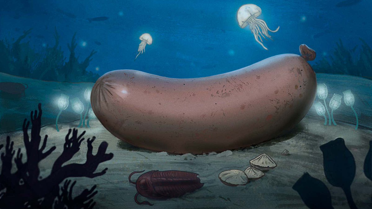 TheOnion's tweet photo. Biologists Discover Modern-Day Corn Dog Descended From Ancient Aquatic Sausage https://t.co/5aYsdb4WXn https://t.co/Ge1f0kmKhF