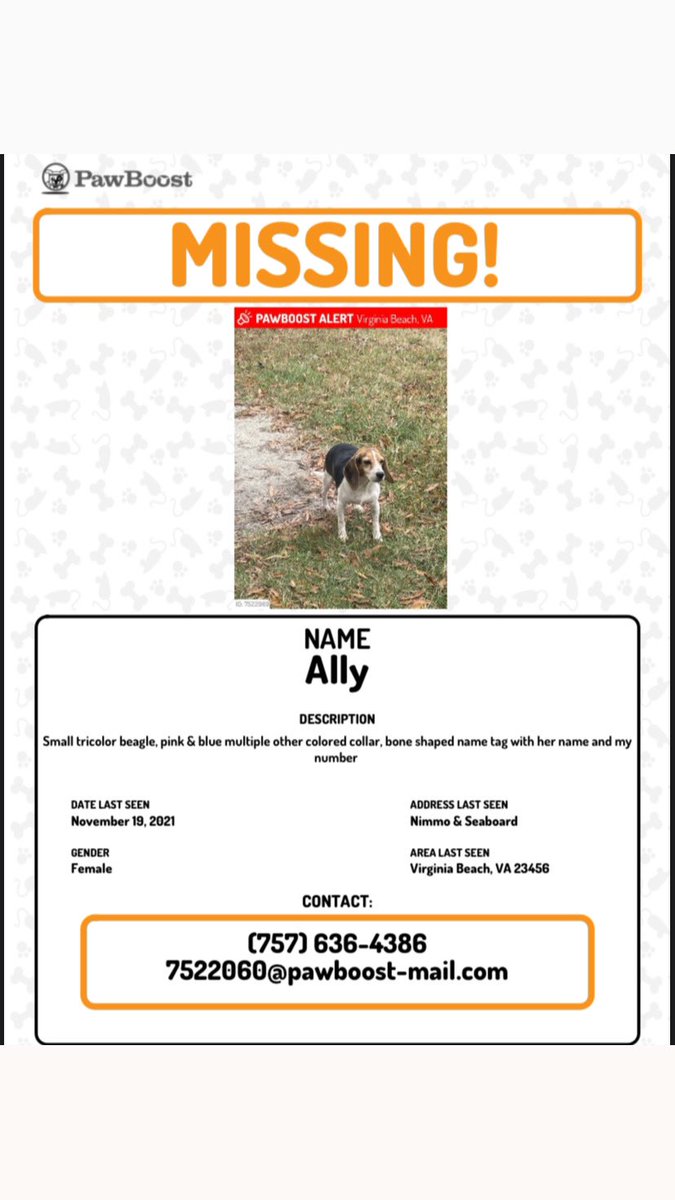 Lindsey Olinda tweet media